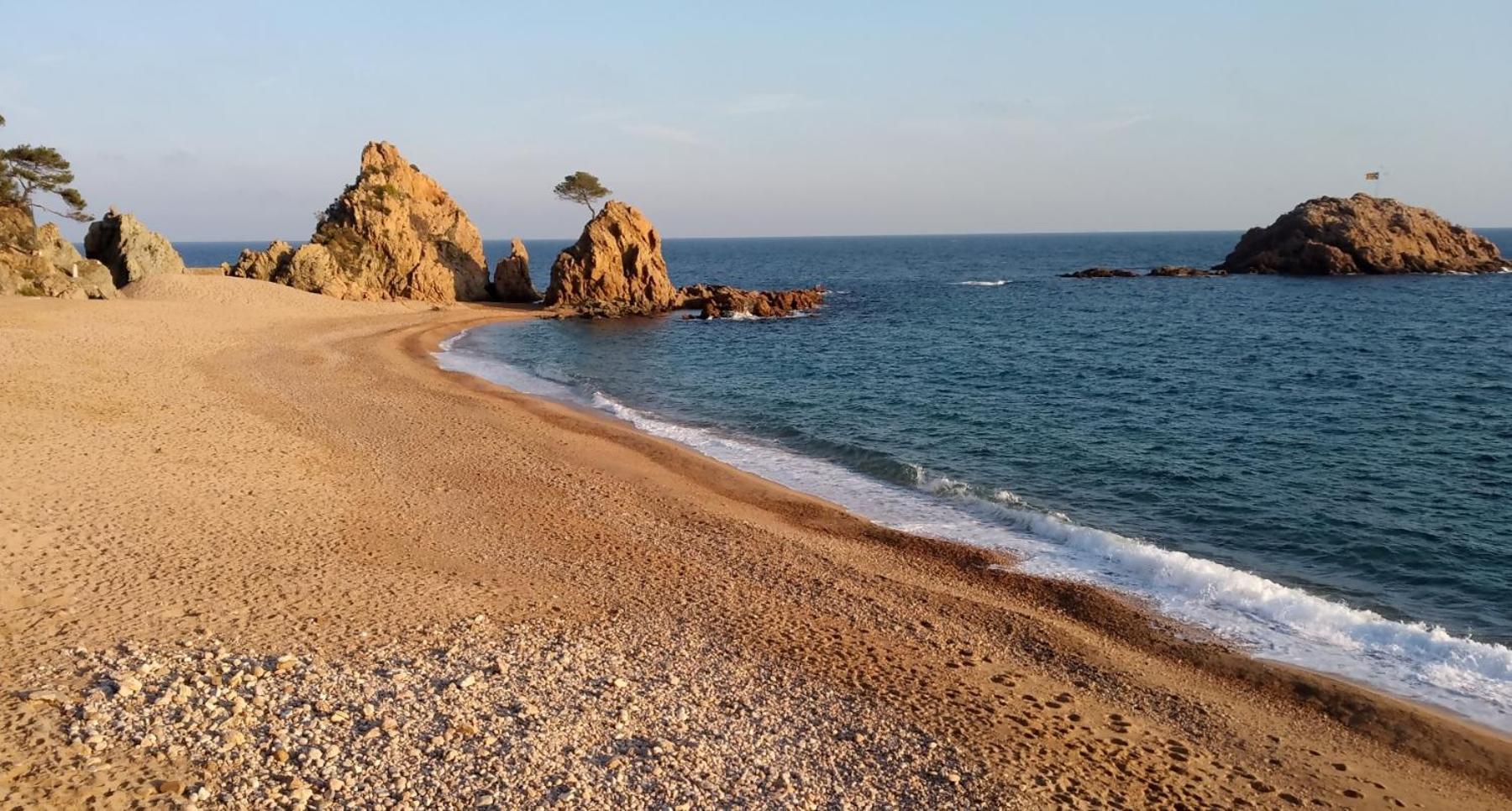 Mar Menuda A Pocos Metros De La Playa Tossa de Mar